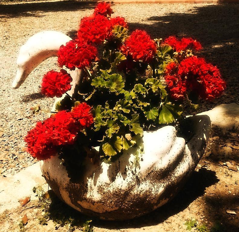 Borgo Mucellena ξενώνας Casole dʼElsa Εξωτερικό φωτογραφία